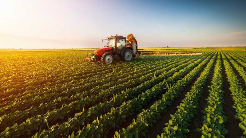 Големи промени в наемите на земя: Зърнопроизводители заплашиха със...