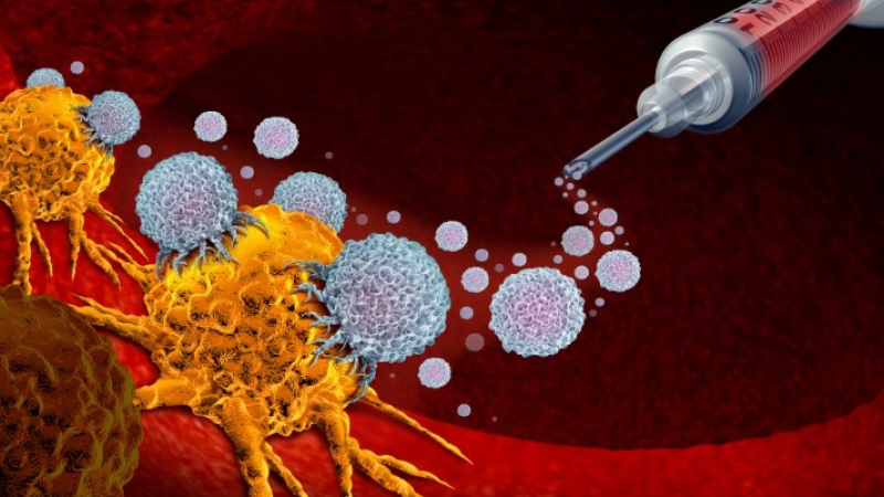 Експерти разясниха подробности за новия пробив в битката срещу рака