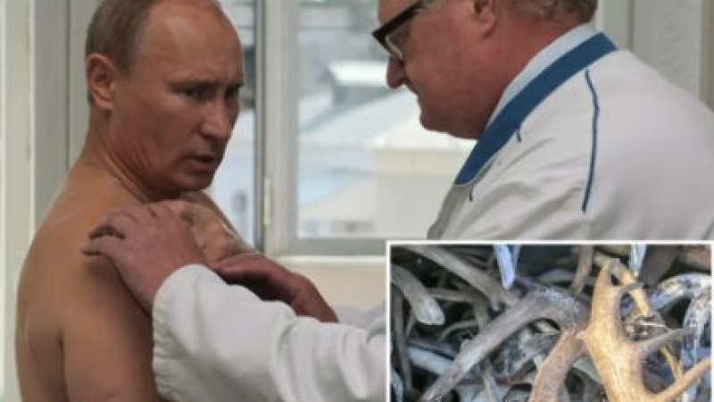 Източник от Кремъл потвърди: Владимир Путин е диагностициран с рак