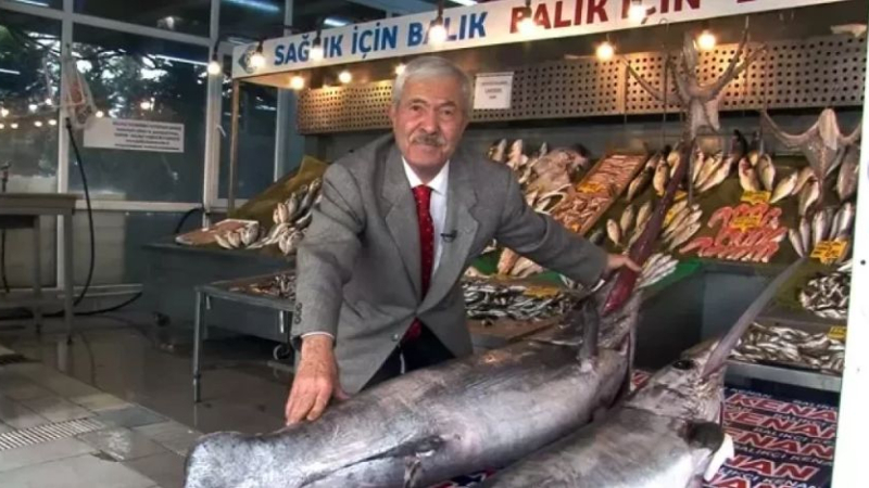 Уникален улов! Извадиха две 2-метрови чудовища от Мраморно море, изложиха ги в музей, а сега...