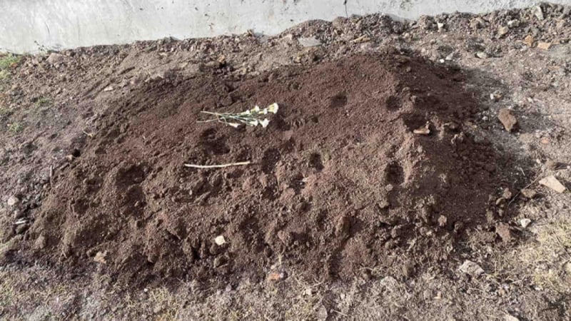 Всички са в шок: Погребаха труп до детска градина в София СНИМКИ 