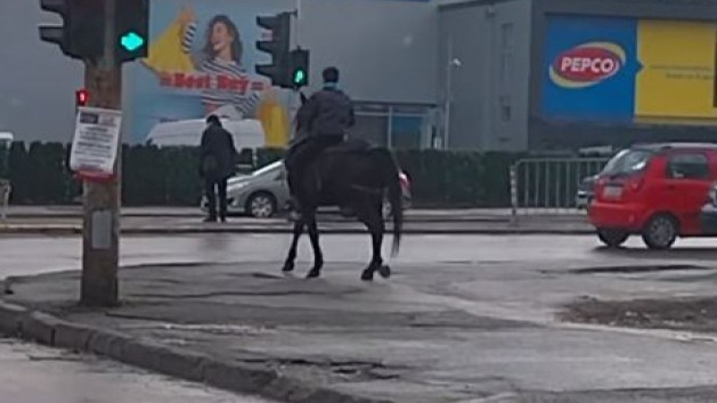 Този див, див Люлин! Каубой възпитано пресича с коня си на светофар ВИДЕО