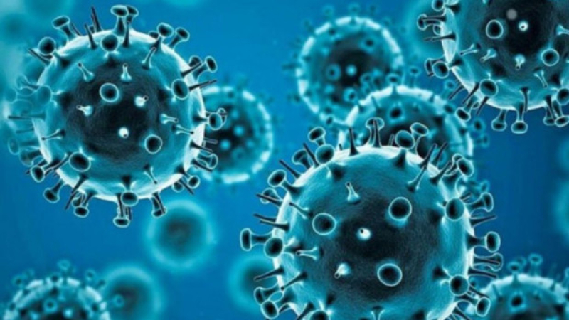 Епидемиолог със стряскаща прогноза: COVID пандемията е първото X заболяване, ще има и друго