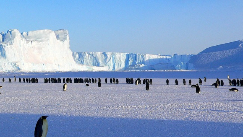 10 мега странни правила за пътуване в Антарктида