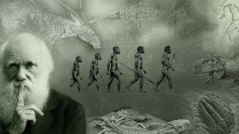 Не сме произлезли от маймуните: Казаха истината за Теорията на Дарвин