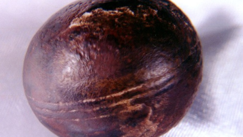 Учени разясниха мистерията на въртящите се сфери, намерени в скала СНИМКИ