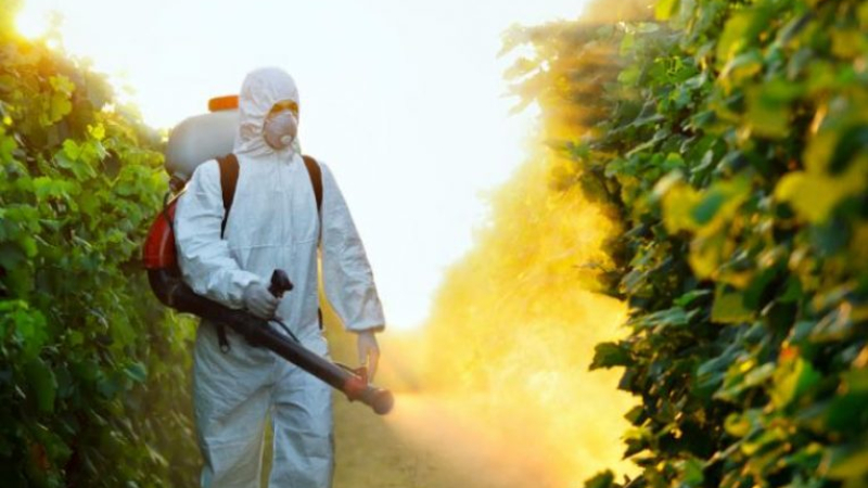 Ужас: Световна организация призна, че нагъваме яко пестициди с тези храни 