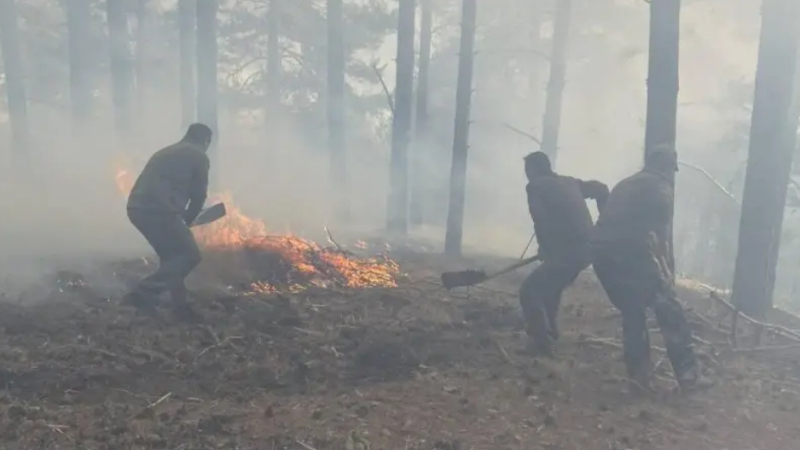 Огнен ад в Родопите, вече 300 декара са засегнати СНИМКИ
