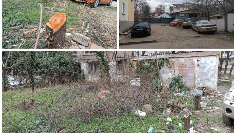 Потресаваща случка в „змиярика“ в центъра на Пловдив, всички беснеят СНИМКИ