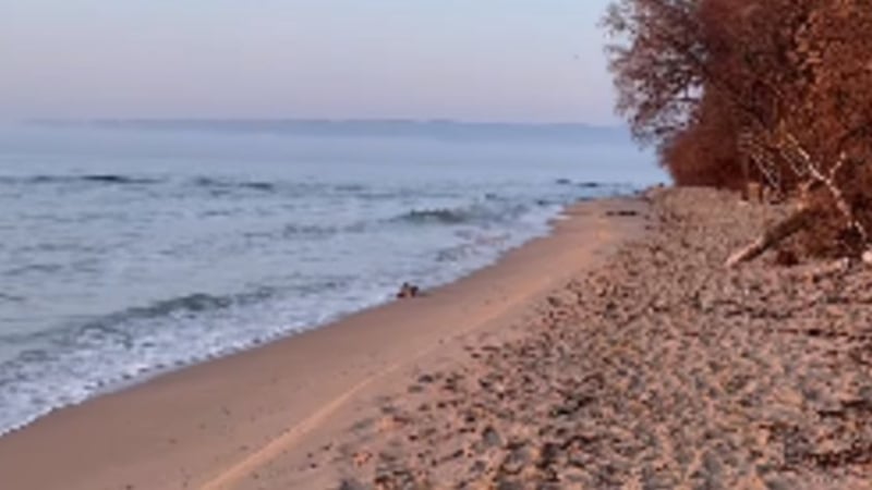 Смайваща гледка край брега на морето във Варна ВИДЕО 