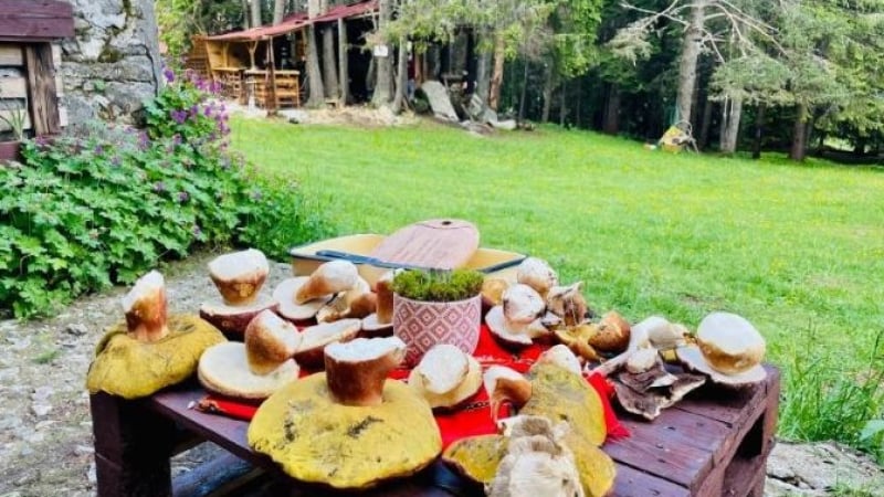 Необикновена хижа в Родопите: Топ храна, горски сватби и...