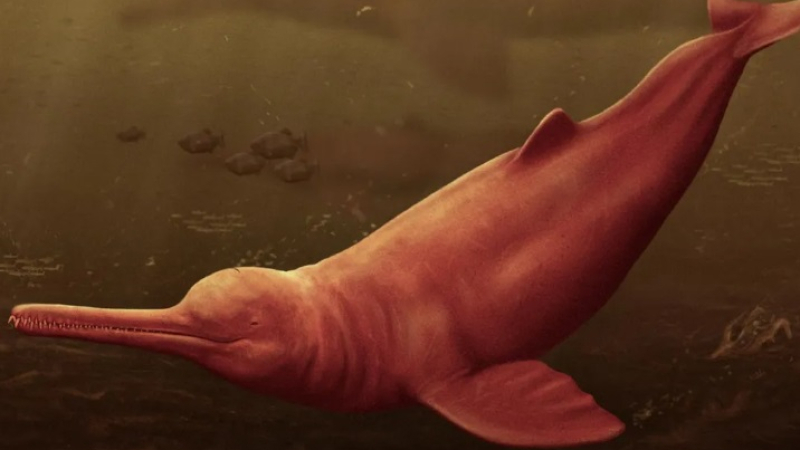 Учен показа останки от огромно морско създание, живяло преди 16 милиона години СНИМКИ 