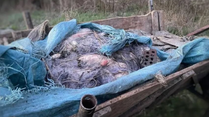 Тежък удар по незаконния риболов в Бургаско СНИМКИ