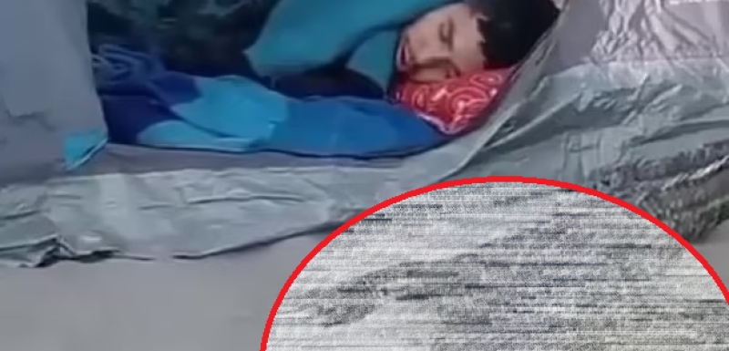 Турист легна да спи в палатката си на плажа, а до главата му се появи смъртна опасност ВИДЕО
