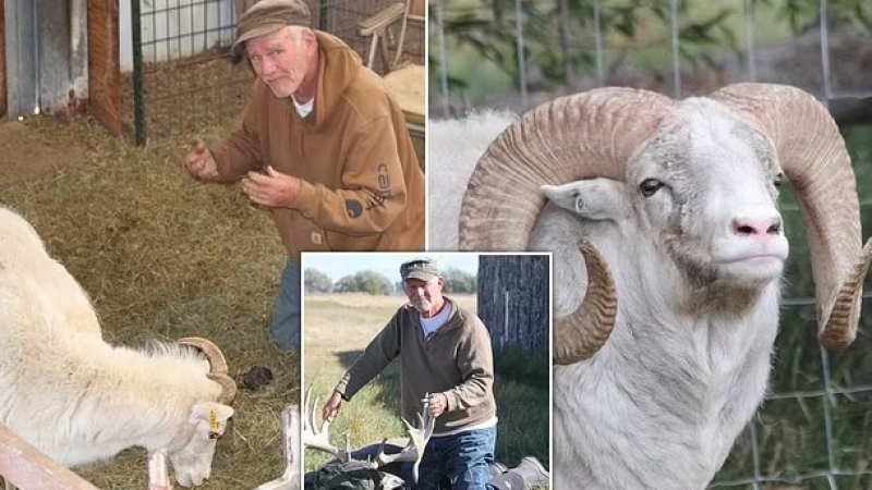 Зъл генетик създава овца убиец, за да я използва като куче, можело да затрие света 