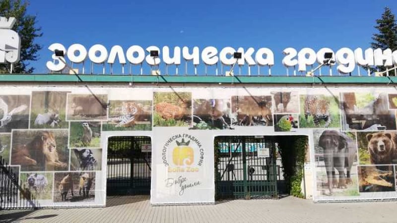 Тази СНИМКА от зоопарка в София втрещи всички: Ето защо клетките са празни