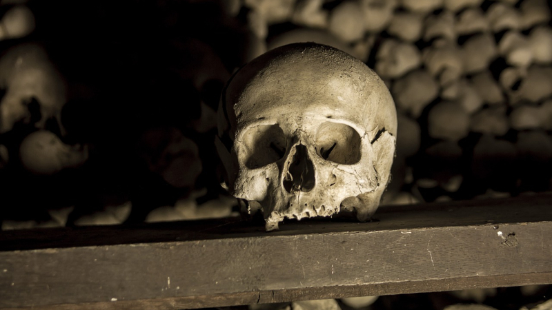 Мистерия! Археолози се хванаха за главите от находка в череп от XVIII век
