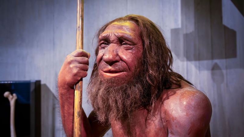Показаха как е изглеждала наша неандерталска братовчедка преди 75 000 години 
