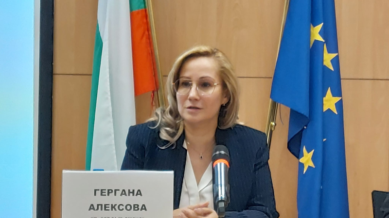 Гергана Алексова, БСП: В ЕП трябва да има българи, които да защитават националния ни интерес