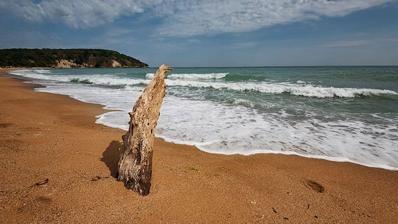 Нова секира за плажа в Бургас, забраниха наслада за мъжките очи
