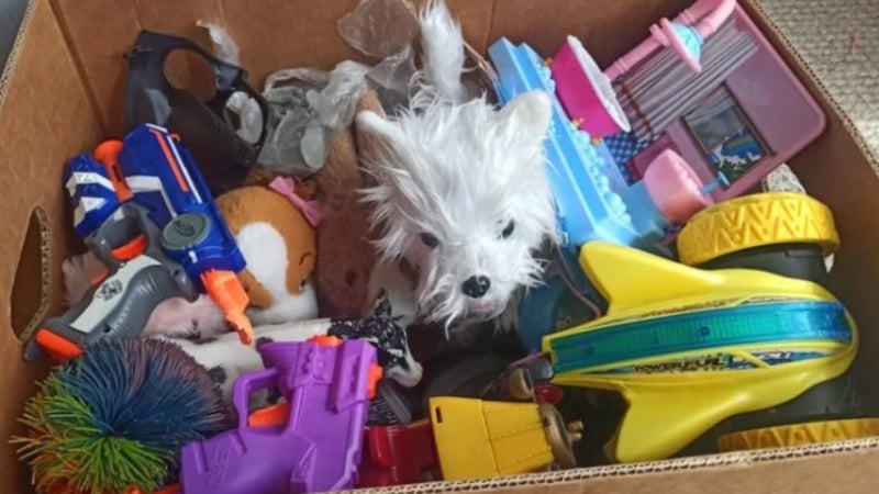 Собственик се подсигури до края на живота си: Рядка играчка е продадена за $525 000 СНИМКА
