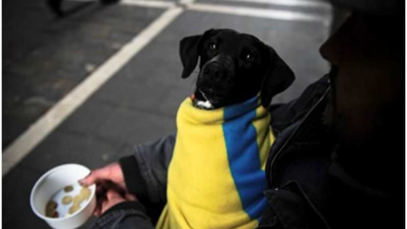 The New York Times: Киев разпродава Украйна, за да спаси икономиката