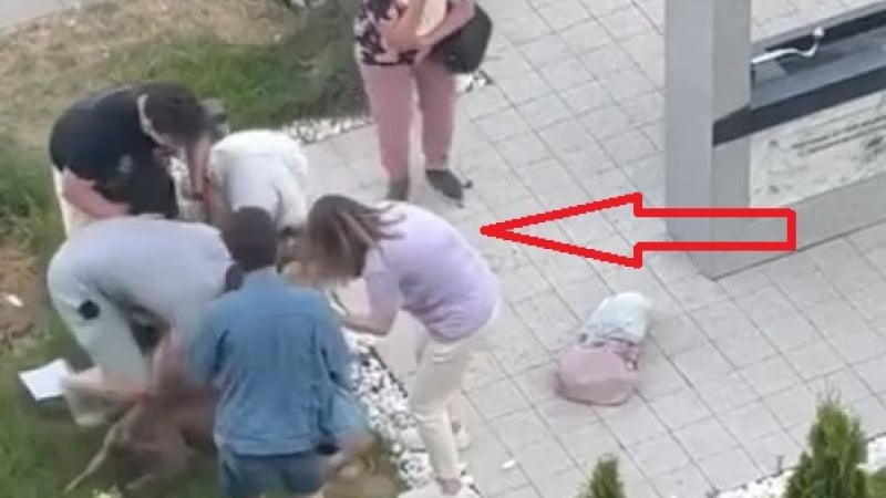 Смърт в София: Озверял питбул събори бебешка количка и... СНИМКИ 18+