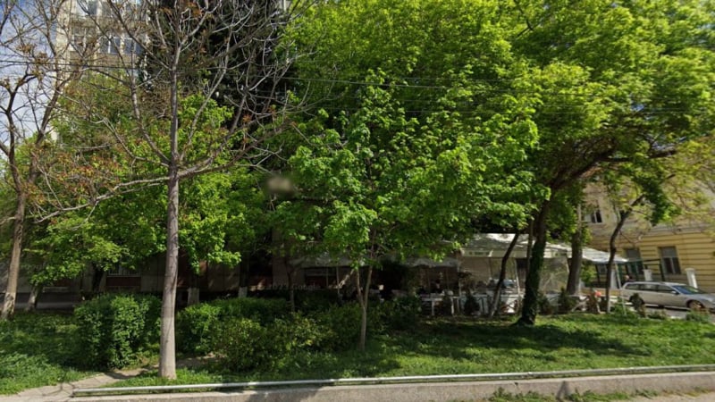 Пазарджиклийка се натъкна на любопитна твар в центъра на града СНИМКА 