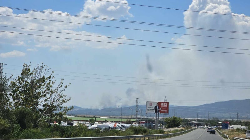 От полицията с последни данни за огнения ад в Пловдивско 