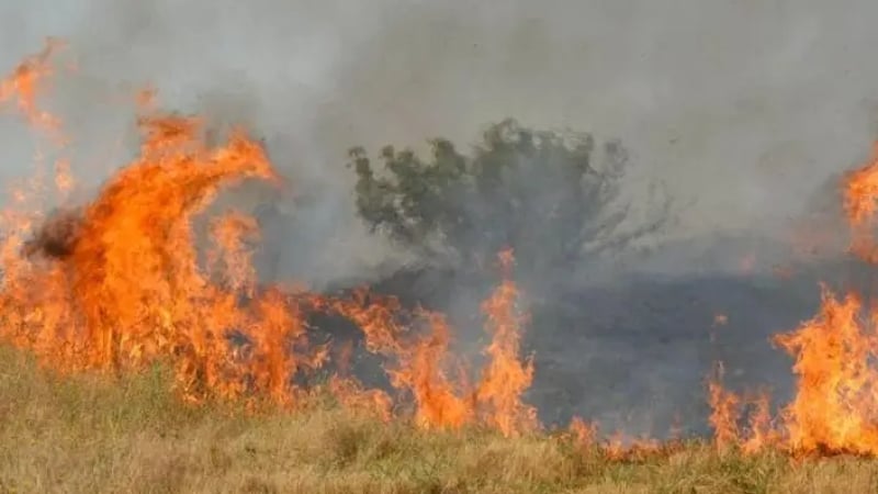 Адът край Стара Загора! Огромният пожар бушува цяла нощ, борбата продължава