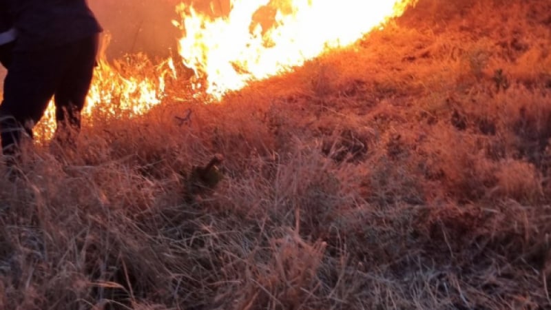 Безхаберници подпалиха с барбекюто си нов пожар във Варненско