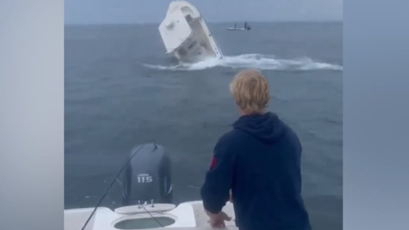 Кит изплува внезапно от водата и се вряза в лодка с мъж ВИДЕО