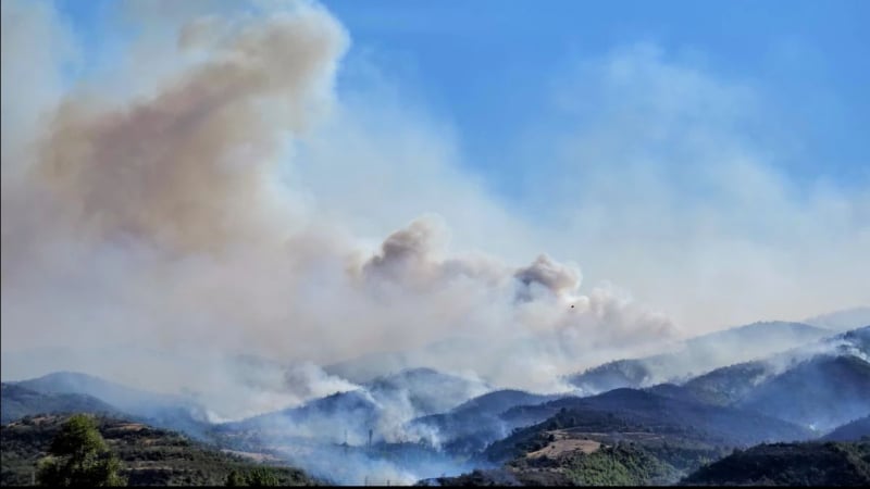 Ужасът в община Струмяни: Огънят напредва, евакуираха още едно село
