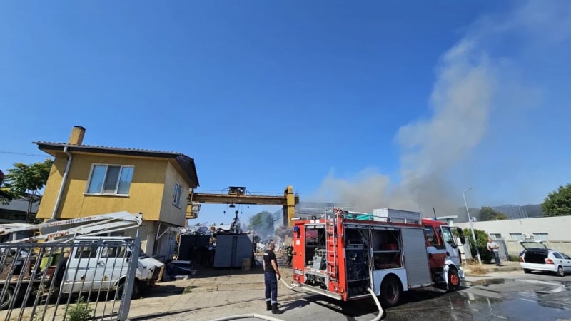 Нов огнен ад край Пловдив! 5 пожарни гасят пожара СНИМКИ