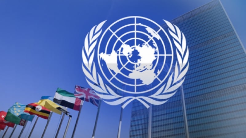 ООН уволни служители след вътрешна проверка, оказа се, че са участвали в...