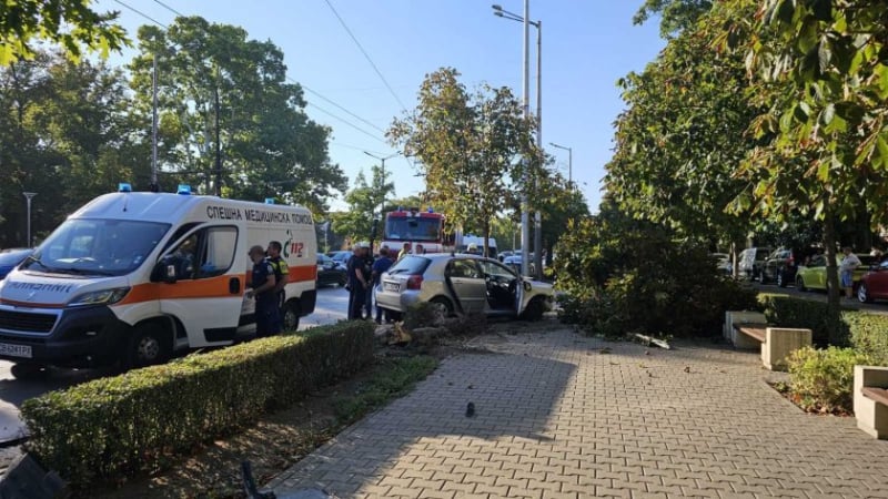 Зверски сблъсък в столицата, кола отсече дърво СНИМКИ