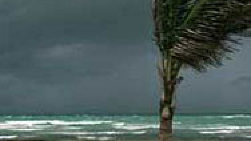 Най-малко 11 са жертвите на тропическата буря “Фей” в САЩ