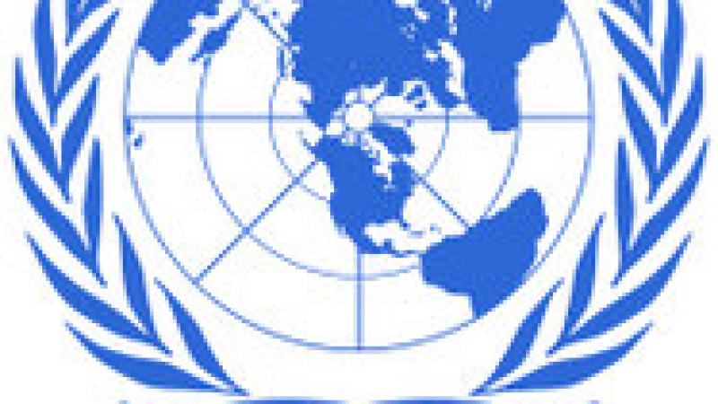 Съветът за сигурност на ООН удължи мандата на сините каски в Чад