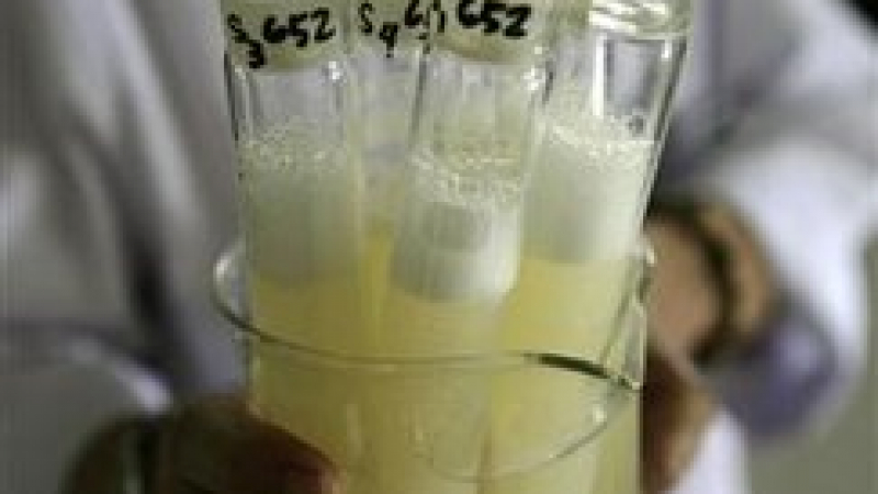 Откриха меламин в млечна напитка в Словакия 