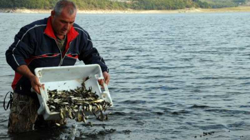 Зарибиха меката на рибарите в Южна България - язовир "Тракиец"