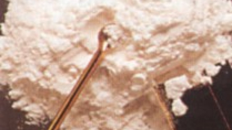 Половин кило кокаин разкрито на ГКПП-Видин