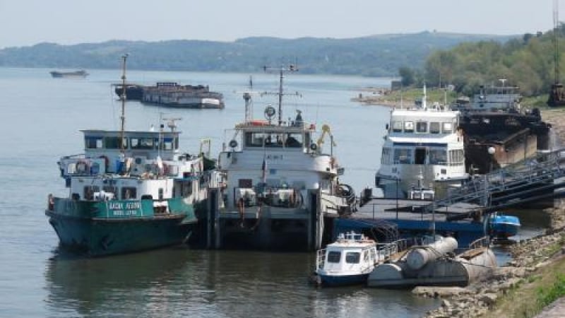 Опасен вирус идва по Дунав 