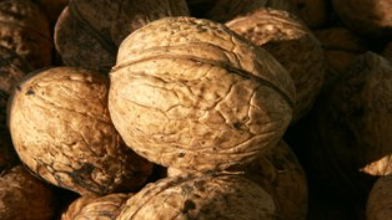 Спряха внос на 20 тона опасни орехи