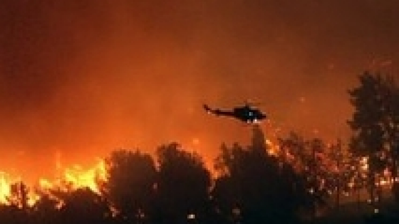 Пожар на 10 000 хектара възникна край Лос Анджелис