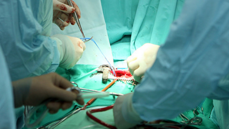 Трансплантираха за първи път в света "отгледан" орган