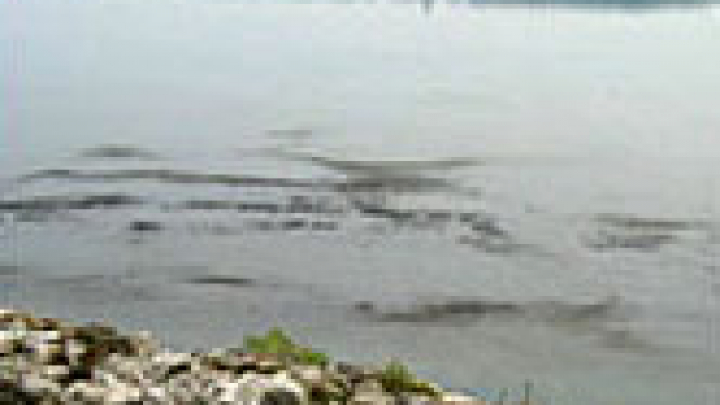 Плажът в Свети Влас е замърсен с нефтени отпадъци 
