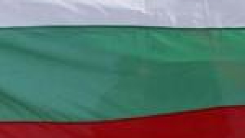 Оправдаха полицая, защитил българското знаме