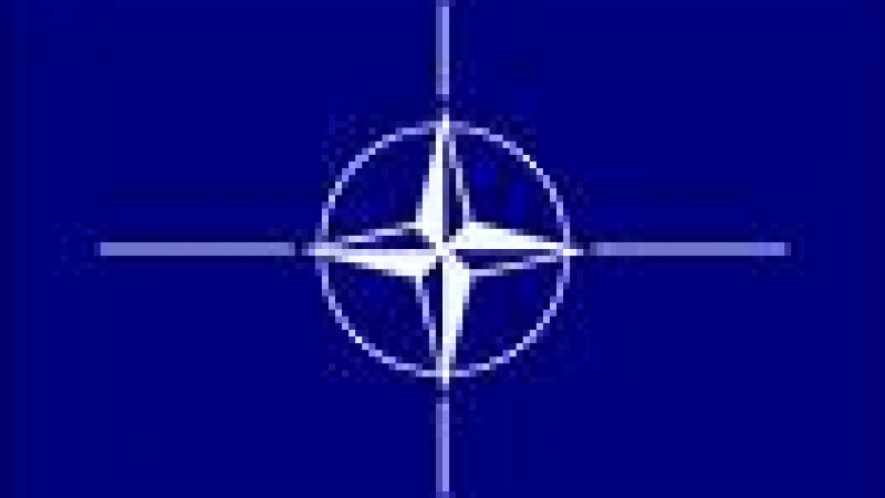 САЩ: години ще минат преди НАТО да покани Украйна и Грузия