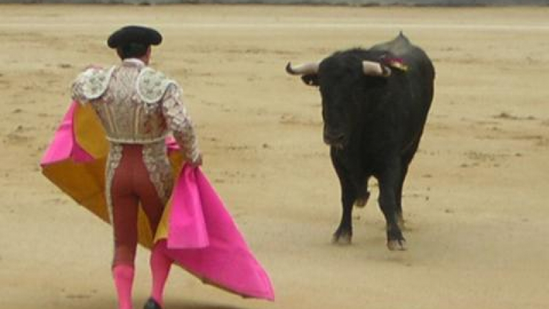 В Испания клонират бик за корида