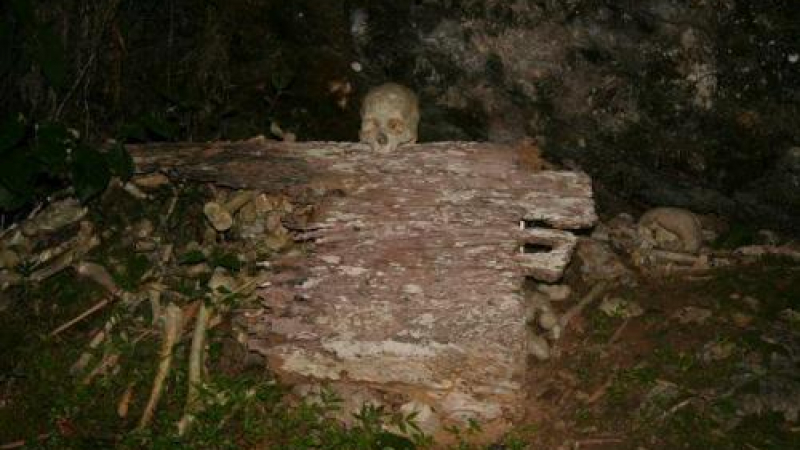 Намериха човешки скелет до гробище
